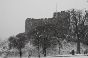 tamworth caste in the snow