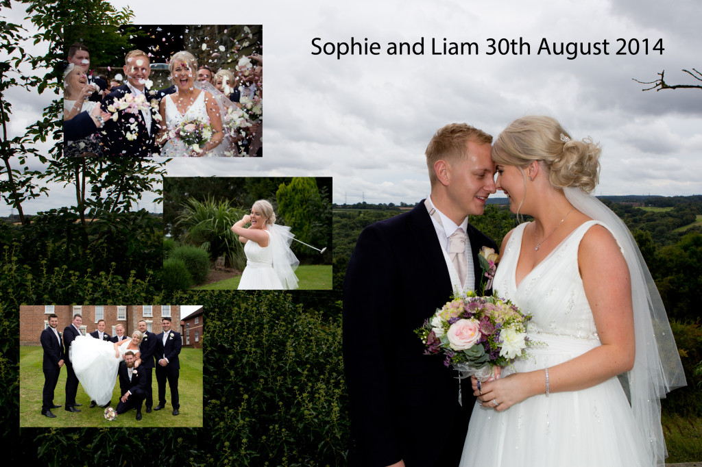 Wedding Gallery 2014