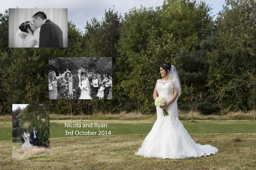 Wedding Gallery 2014