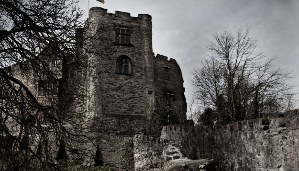 castle5_edited-1