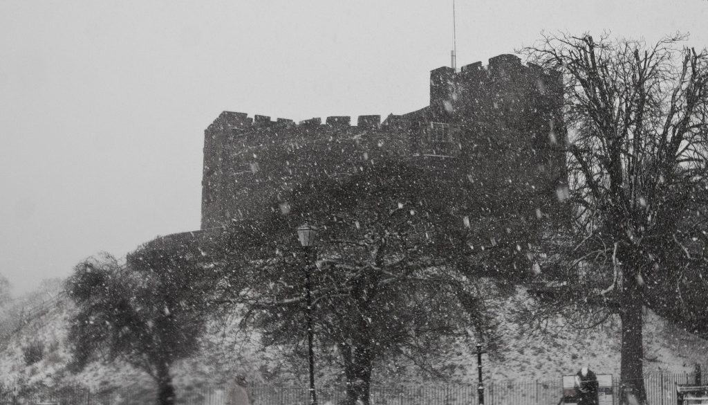 tamworth caste in the snow